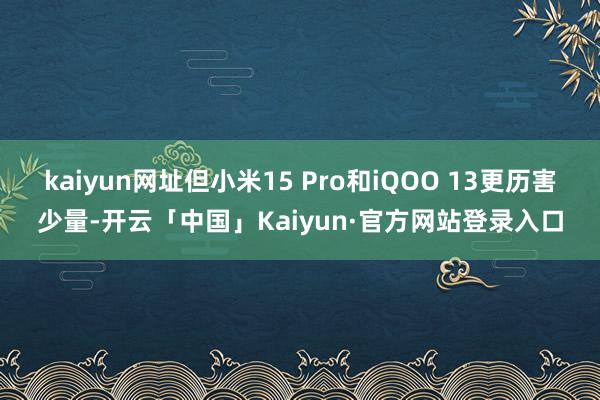 kaiyun网址但小米15 Pro和iQOO 13更历害少量-开云「中国」Kaiyun·官方网站登录入口